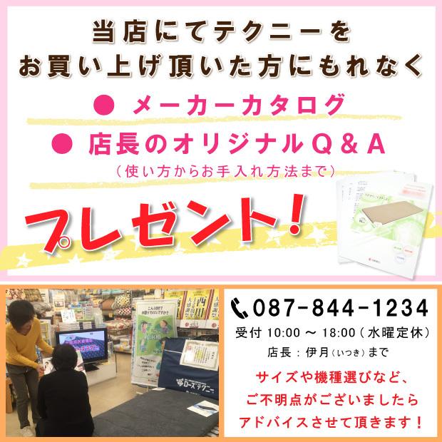 西川（nishikawa） 専用カバープレゼント JNR-1003 SG2 スマート