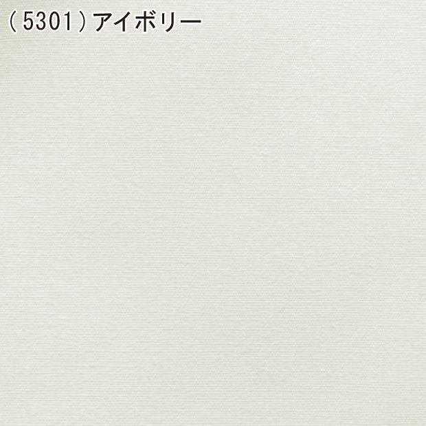 ボックスシーツ クイーンサイズ 160×200×30cm 日本製 綿100％ BOXシーツ 防縮加工 ベッド用 マットレス用 マットレスカバー エスエルピーカバーの画像