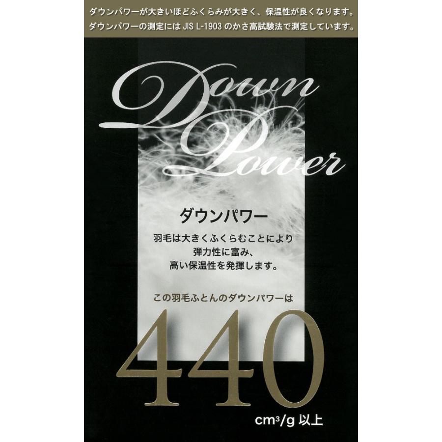 2500円抗菌防臭加工無料 冬用 羽毛布団 ポーランド産 ホワイトマザー