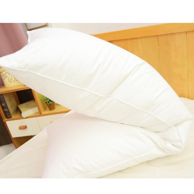 抗菌加工無料【標準タイプ】ダウンピロー 43×120cm カバープレゼント