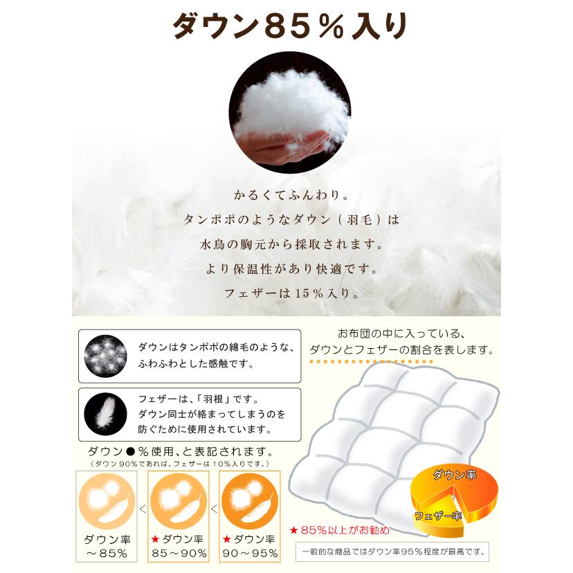 昭和西川 2500円抗菌防臭加工無料 羽毛布団 冬用 ダブルロングサイズ