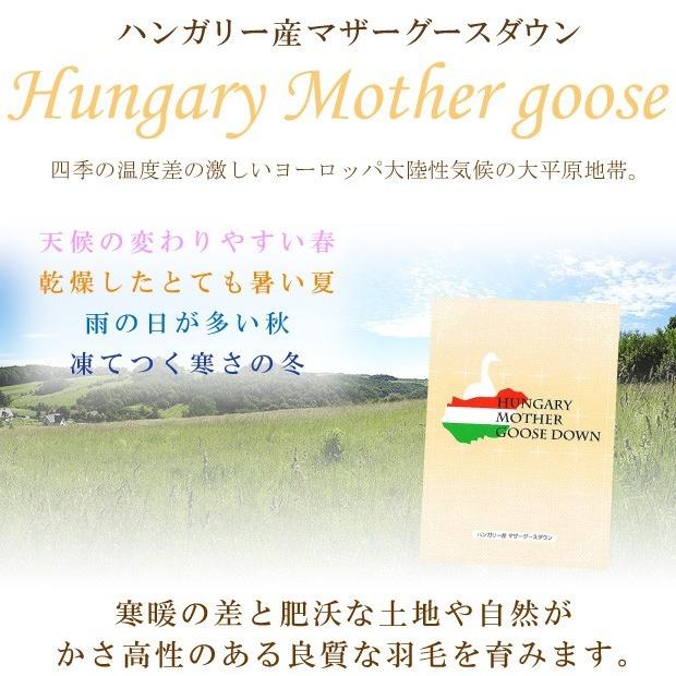 ダウンケット 夏用 羽毛布団 セミダブル ハンガリー産 ホワイトマザーグースダウン93％ 0.5kg入り 羽毛肌 春夏秋用 肌掛け｜kaimintengoku｜03