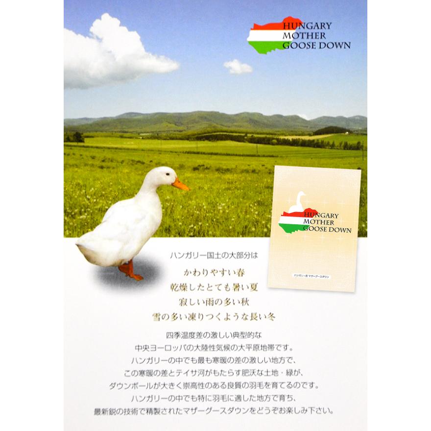 2500円抗菌防臭加工無料 羽毛布団 シングル ハンガリー産 ホワイト