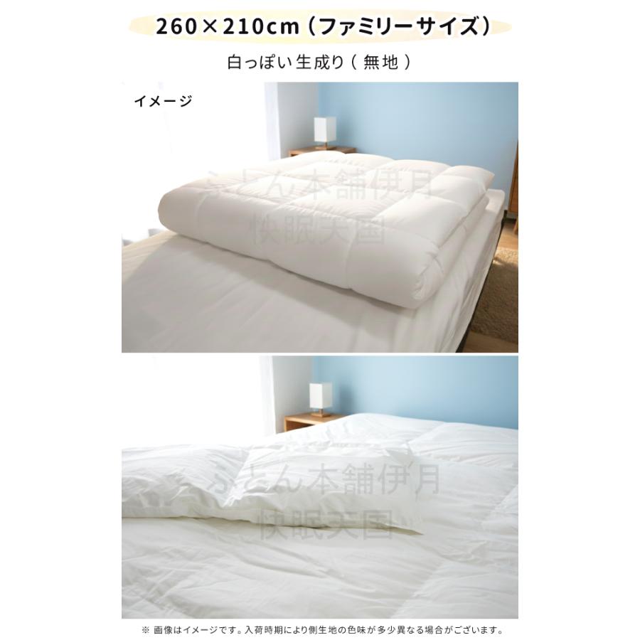 抗菌防臭加工無料 【肌掛け】ホワイトダックダウン85％ ダウンケット