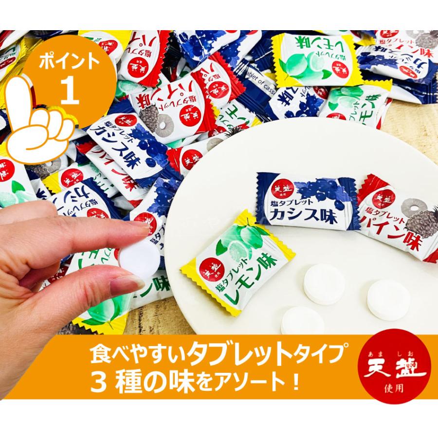 赤穂化成 灼熱対策 塩タブレット 天塩使用 500g （個包装 約220粒） 3