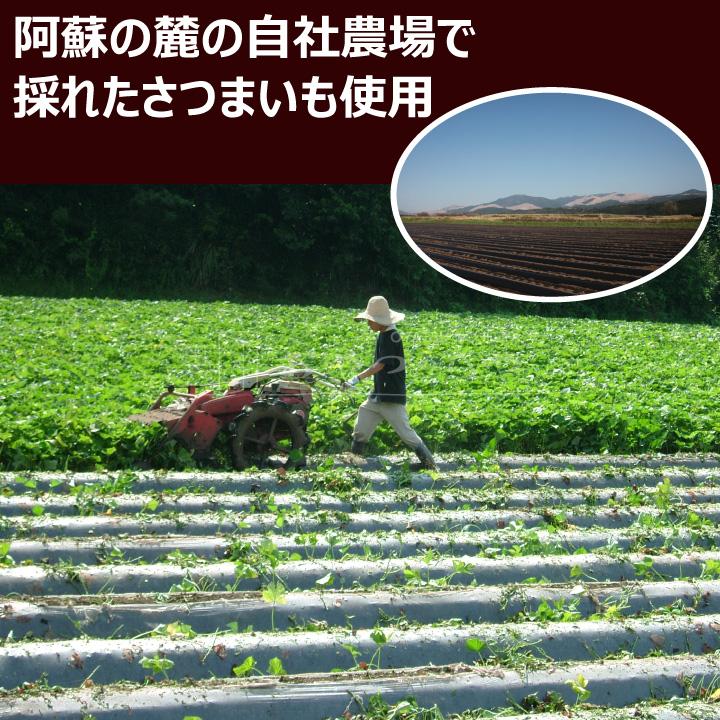 芋屋長兵衛商店 IO-40 芋屋長兵衛 熊本お芋便り 熊本いきなり団子 15個