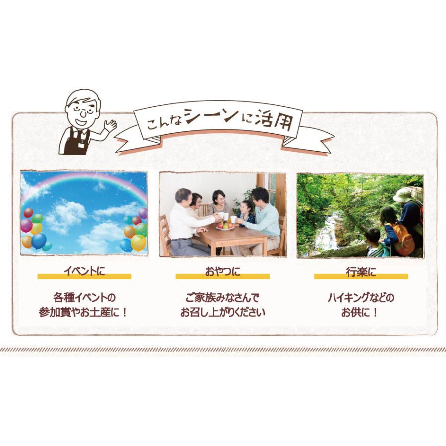 どうぶつ クッキー 個包装 36枚（6種×6） ミルク ココア 風味 アニマル