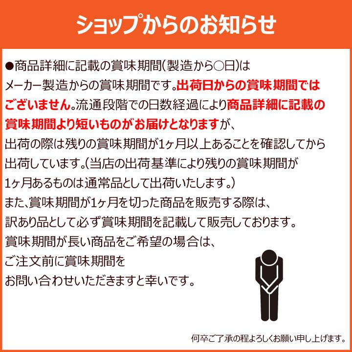 業務用 レモネード スティック 個包装 10kg (約600本分) レモン 粉末