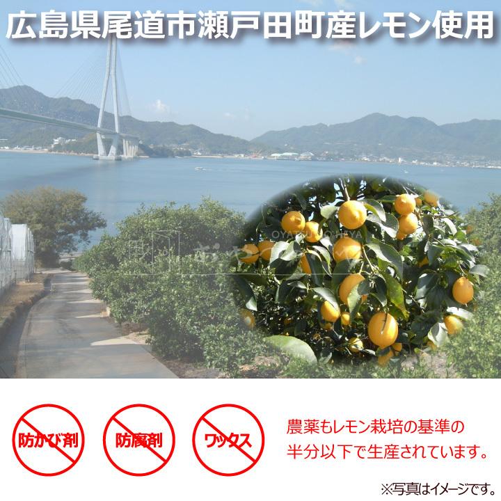 業務用 レモネード スティック 個包装 10kg (約600本分) レモン 粉末