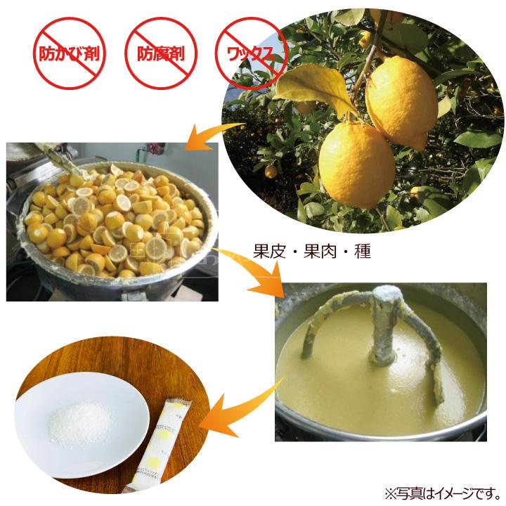 レモンレモネード10kg 業務用 レモネード スティック 個包装 10kg (約600本分) レモン 粉末