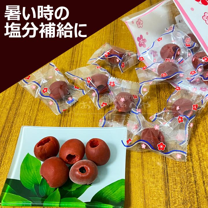 あかぎの 種とり カリカリ梅 210g×8（約220粒） 国内加工 個包装 種