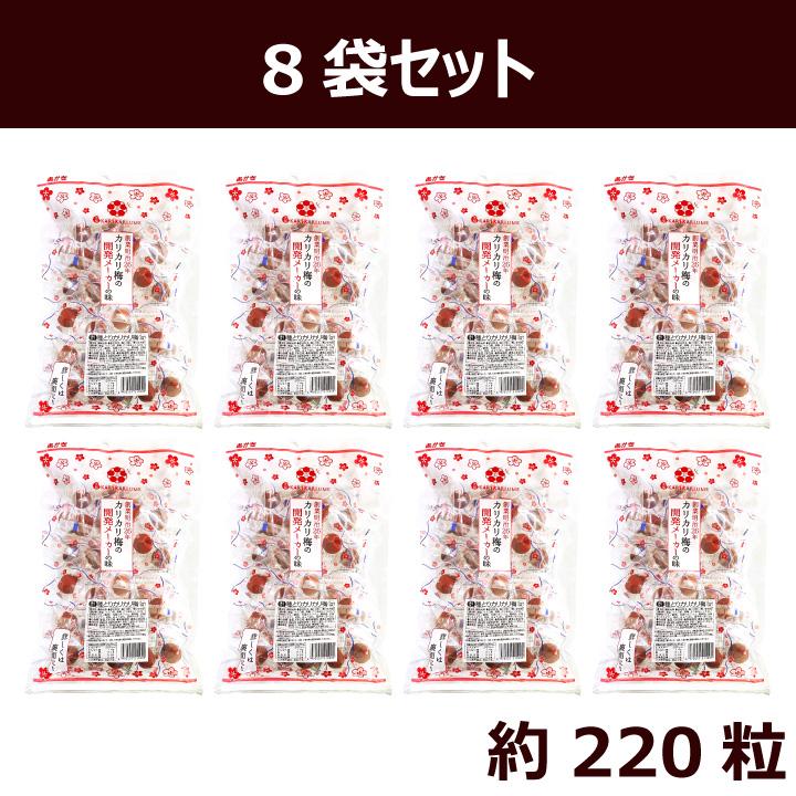 あかぎの 種とり カリカリ梅 210g×8（約220粒） 国内加工 個包装 種