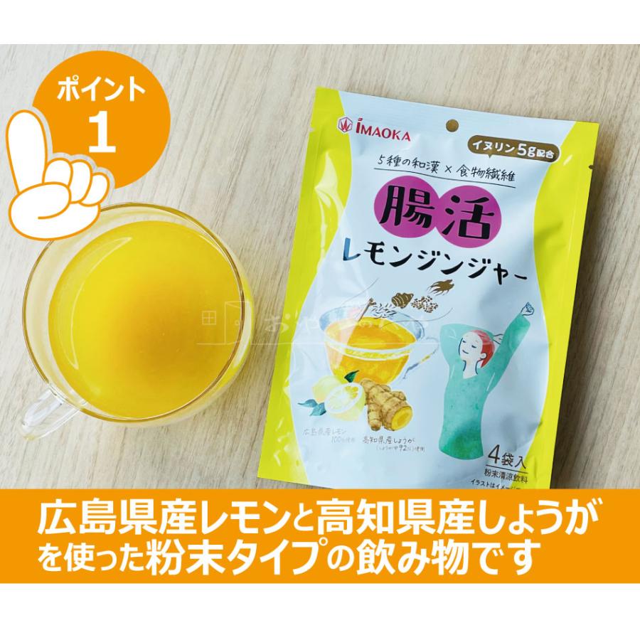 腸活 レモンジンジャー 60g（15g×4）×4袋 粉末清涼飲料 メール便