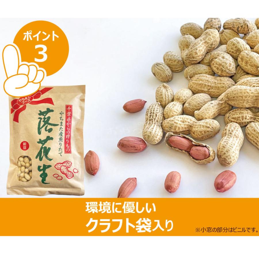 千葉県産 からつき 落花生 国産 3種セット 中手豊 千葉半立 Qナッツ 八街 やちまた 殻付き ピーナッツ ピーナツ 遠赤焙煎 :98900204:おやつのへや - 通販 - Yahoo!ショッピング 千葉県産 からつき 落花生 国産 3種セット 中手豊 千葉半立 Qナッツ 八街 やちまた 殻付き ピーナッツ ピーナツ 遠赤焙煎 :98900204:おやつのへや - 通販 - Yahoo!ショッピング