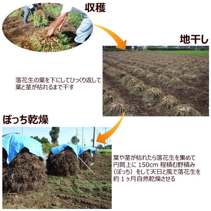 千葉県産 からつき 落花生 国産 3種セット 中手豊 千葉半立 Qナッツ 八街 やちまた 殻付き ピーナッツ ピーナツ 遠赤焙煎 9004 おやつのへや 通販 Yahoo ショッピング