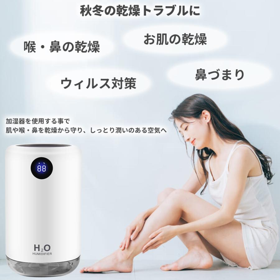 加湿器 卓上加湿器 USB 充電式 大容量 超音波式 ナノミスト 自動停止