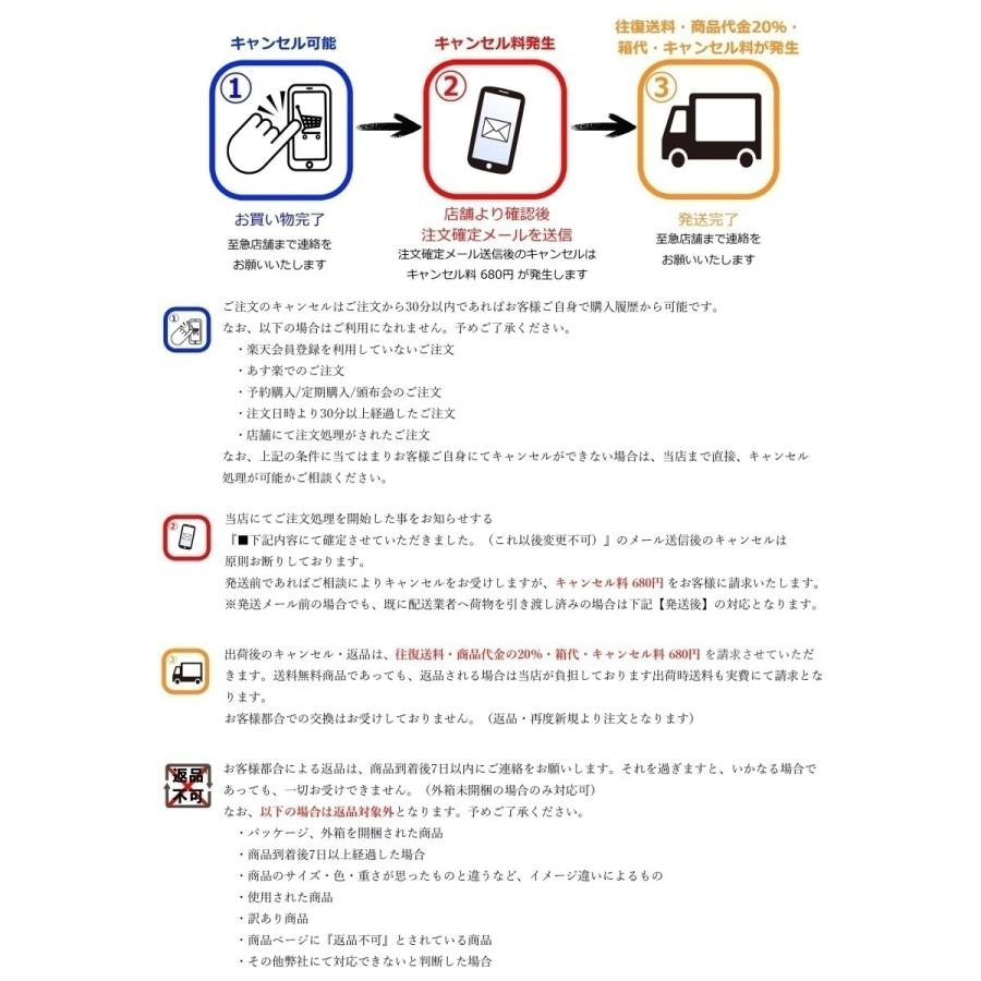 電気フライヤー ミニフライヤー FL-DS4W 4L 2槽式 卓上フライヤー 電気 卓上 フライヤー 揚げ物 小型 業務用 3年保証｜kainetspg｜11