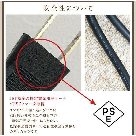 電気フライヤー ミニフライヤー FL-DS6W 6L 2槽式 卓上 電気フライヤー ミニフライヤー FL-DS6W 6L 2槽式 卓上