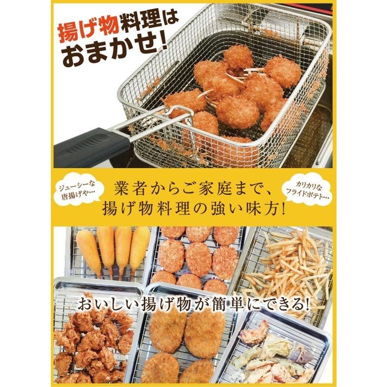 電気フライヤー ミニフライヤー 8L FL-DS8 卓上フライヤー 電気 卓上