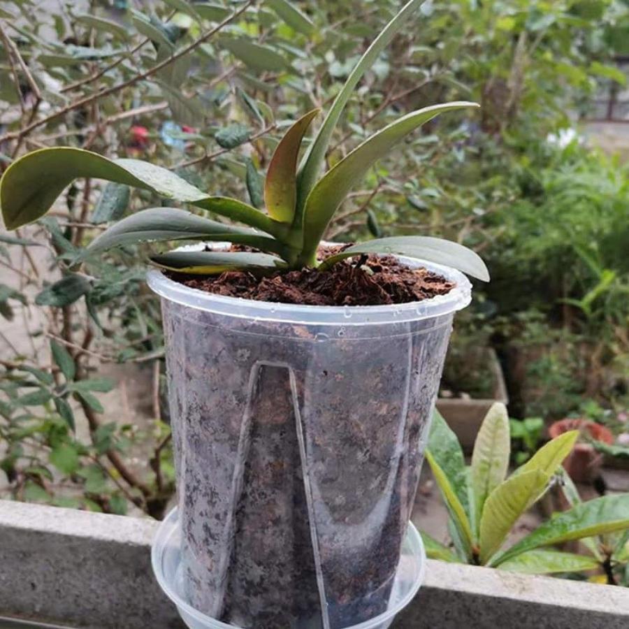 プラスチック鉢 植木鉢 花 プランター 鉢 5個セット 14cm/16cm プラスチック鉢 植木鉢 花 プランター 鉢 5個セット 14cm/16cm
