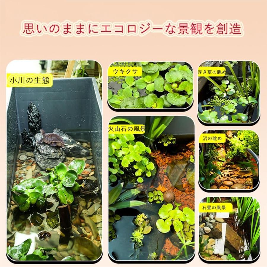 カメ 水槽 亀 ケージ ボックス 大型 オールインワン 組み立て不要 虫類