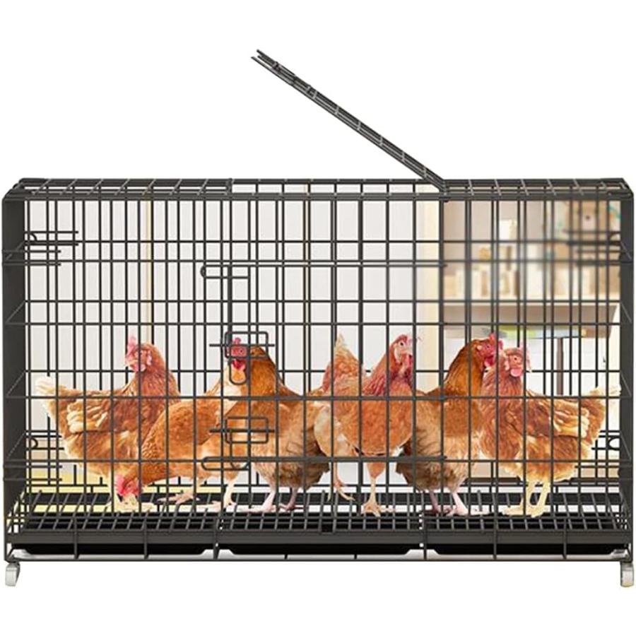 鶏用ケージ鶏舎の鶏小屋大鶏小屋家禽ケージ屋外の鶏小屋2つの巣箱付き