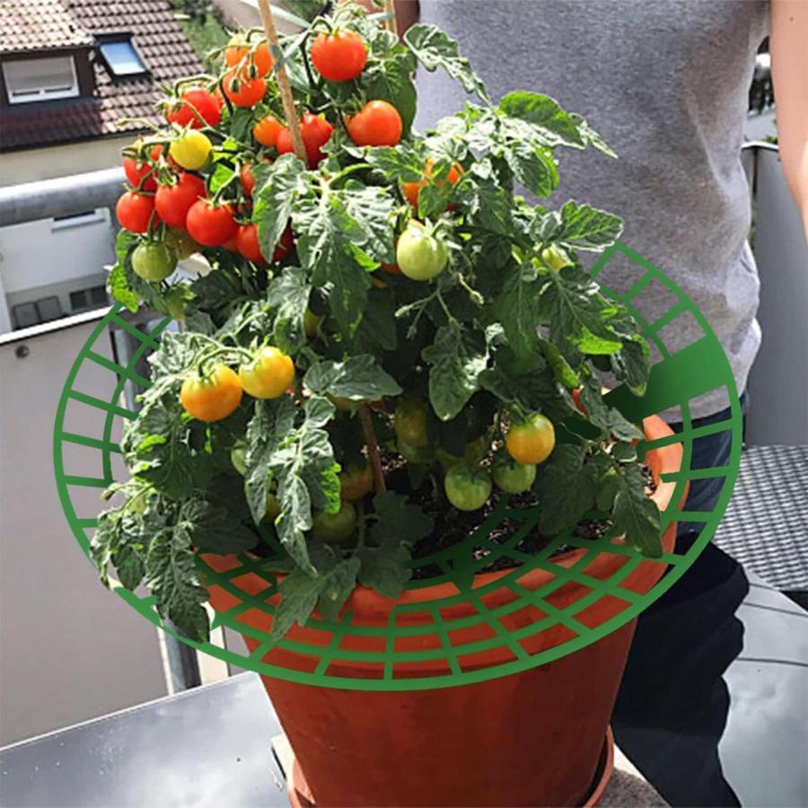 ☘️ 苺サポート フルーツ　植物ホルダー 植物支え 苗ホルダー 果実サポート 園芸支柱 イチゴ サポート 莓サポート いちご植え支柱 チゴ支え いちご