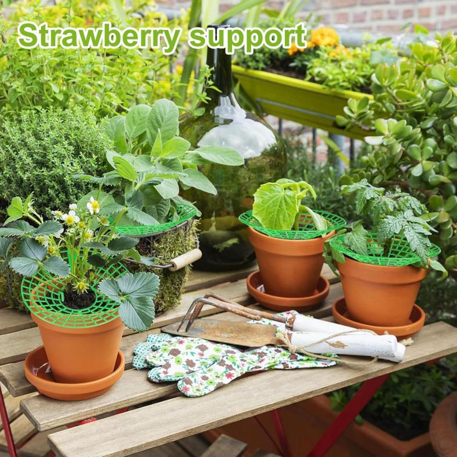 ☘️ 苺サポート フルーツ　植物ホルダー 植物支え 苗ホルダー 果実サポート 園芸支柱 イチゴ サポート 莓サポート いちご植え支柱 チゴ支え いちご
