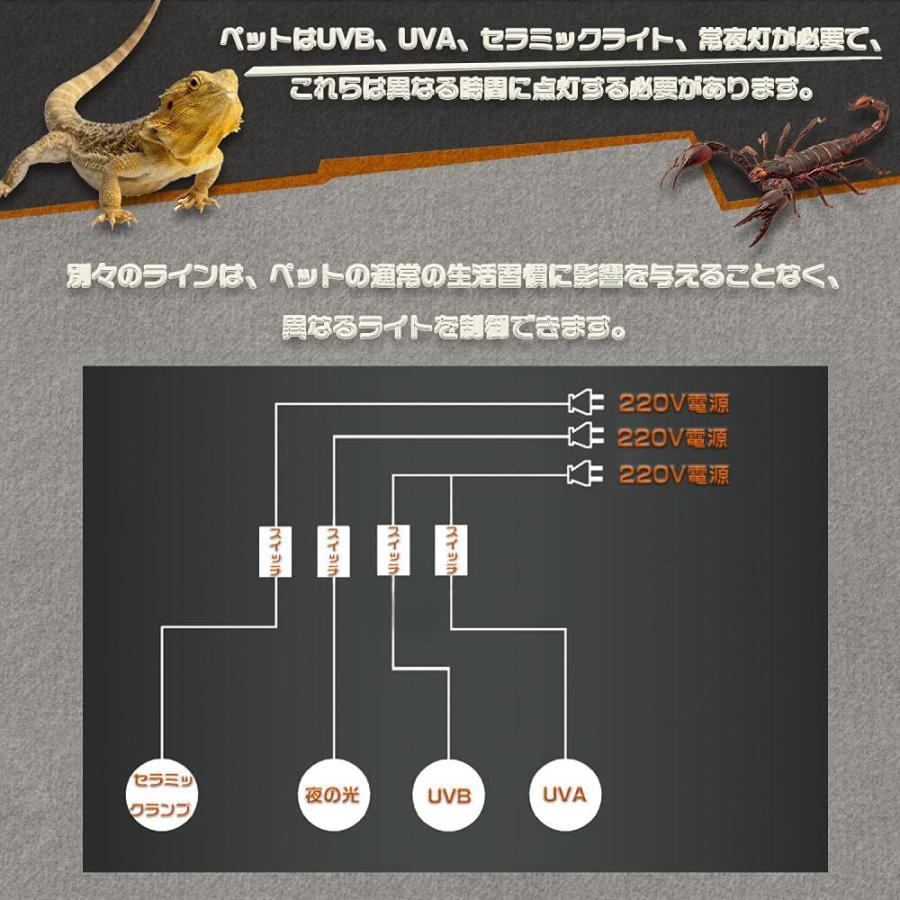 爬虫類 ケージ 両生類 OSB 通気性が良いの給餌ボックス トカゲ