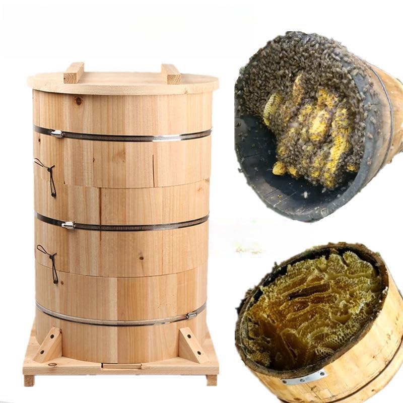 蜂の巣 天然 本物 縁起物 スズメバチ 本体のみ 箱は付属なし