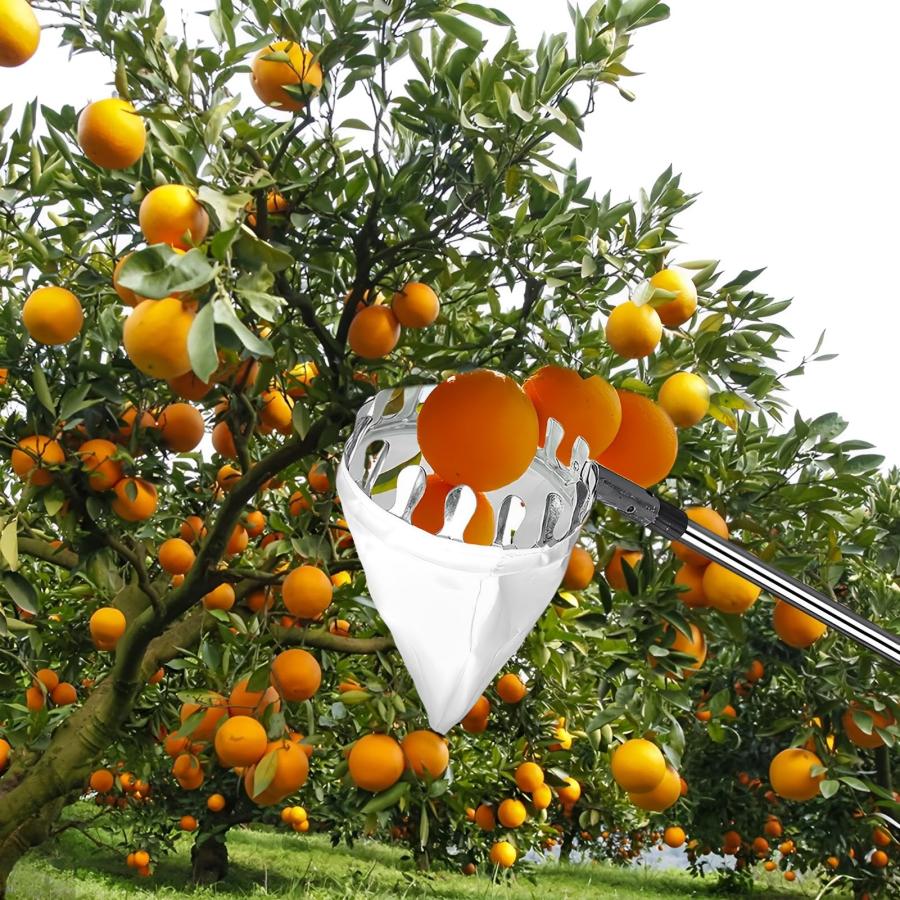 フルーツピッカー 高枝フルーツピッカー 高枝切りばさみ 伸縮式 高枝鋏