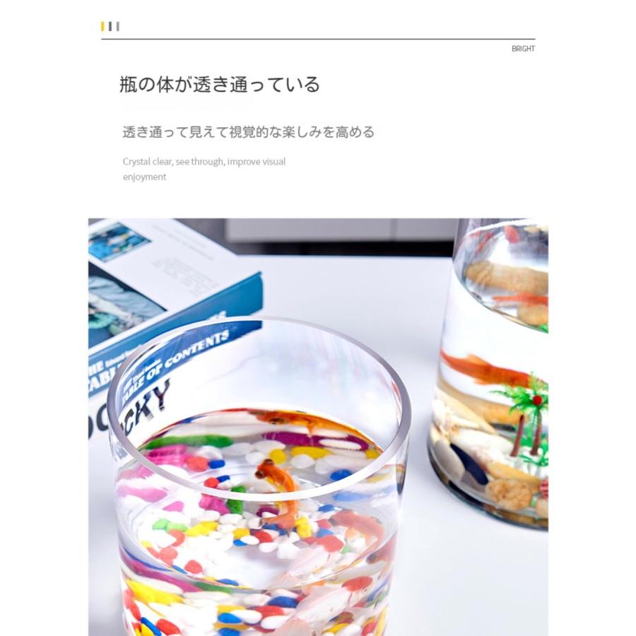 金魚鉢 ミニ魚タンク 水槽 透明花瓶 ガラス製 円筒形の肥厚した円形
