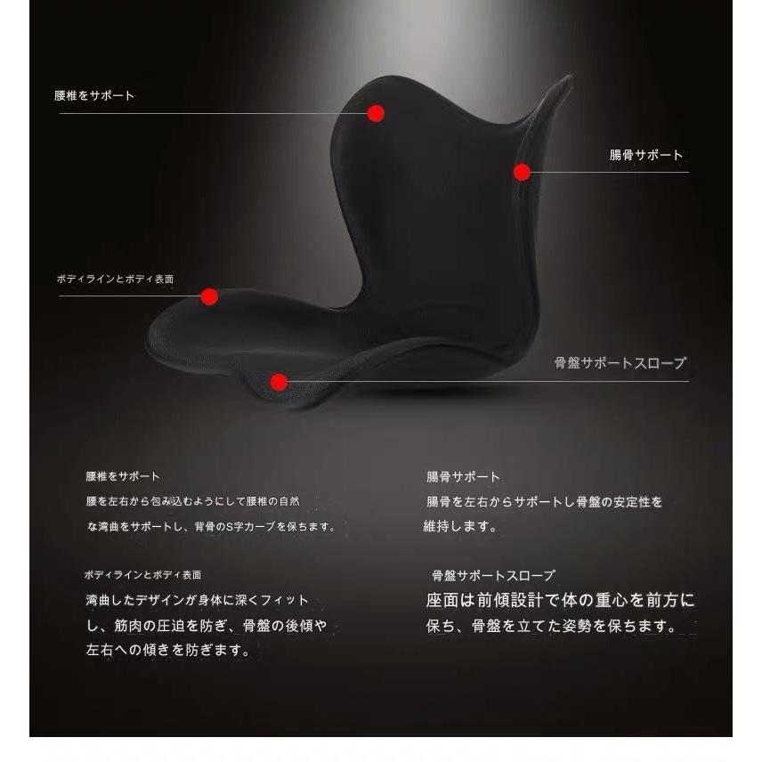 骨盤矯正サポートシートチェア、花びらクッション矯正、オフィス座りが