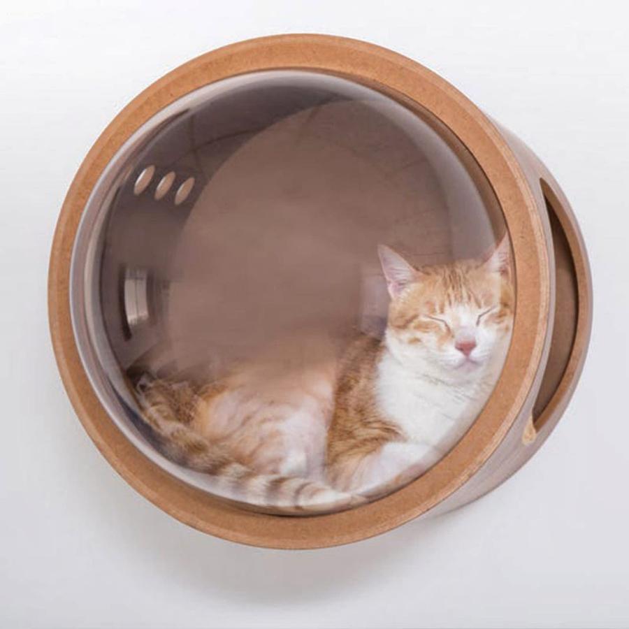 キャットハウステーブル 猫ベッド キャットベッド 猫ハウス キャットハウス 木製 ドーム型 ペットハウス 猫小屋 ペット用品 札幌市 厚別区 宇宙船 木製 壁 猫ハウス 猫用 猫家具 猫用ベッド キャットハウス