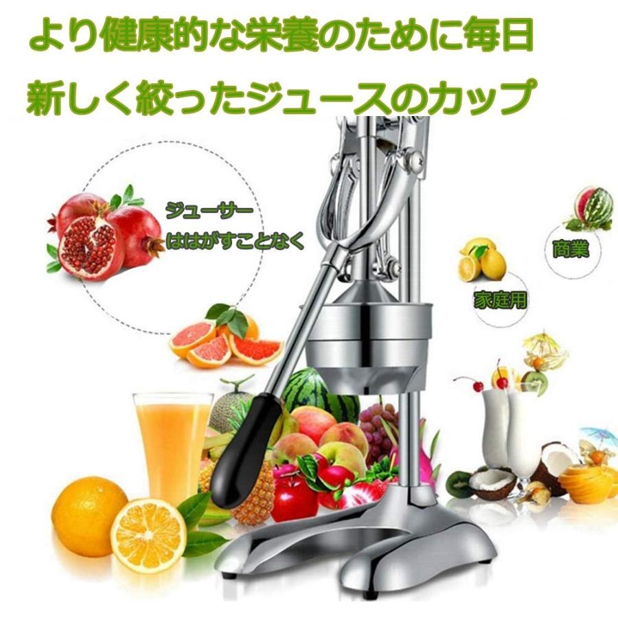 果汁しぼり器 ハンドブレンダー スロー ハンド ジューサー ステンレス