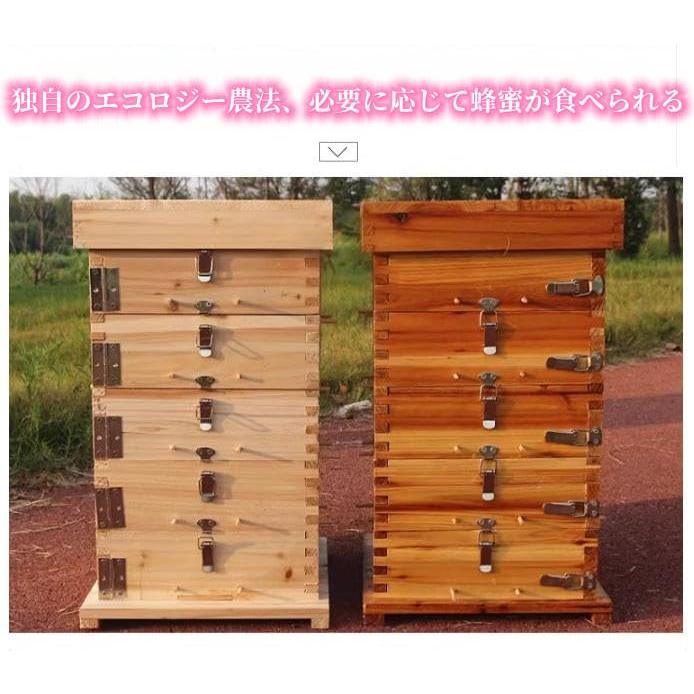 蜂の巣蜂の巣多箱タイプ中蜂格子箱煮蝋格子箱蜂箱肥厚蜂の巣モミ蜂の巣格子箱煮蝋蜂飼育箱蜂の巣枠不要S＆L天然蜂蜜生産防水耐腐食性( 蜂の巣、蜂の巣、多箱タイプ、中蜂格子箱、煮蝋格子箱、蜂箱、肥厚