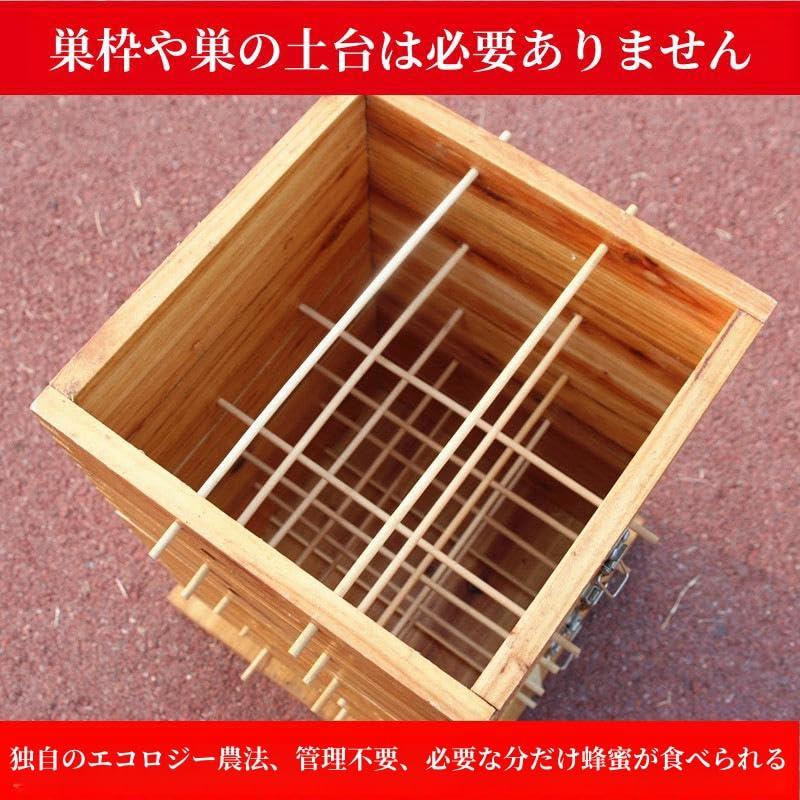 蜂の巣、蜂の巣、多箱タイプ、中蜂格子箱、煮蝋格子箱、蜂箱、肥厚