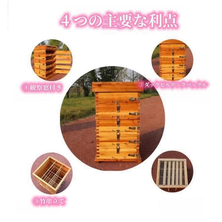蜂の巣、蜂の巣、多箱タイプ、中蜂格子箱、煮蝋格子箱、蜂箱、肥厚
