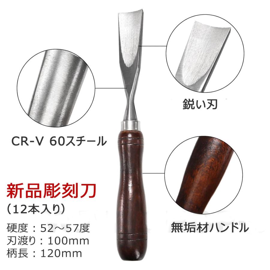 木工DIY用ノミツール 12本組 木工用のみ 木工用彫刻刀専門セット 両面