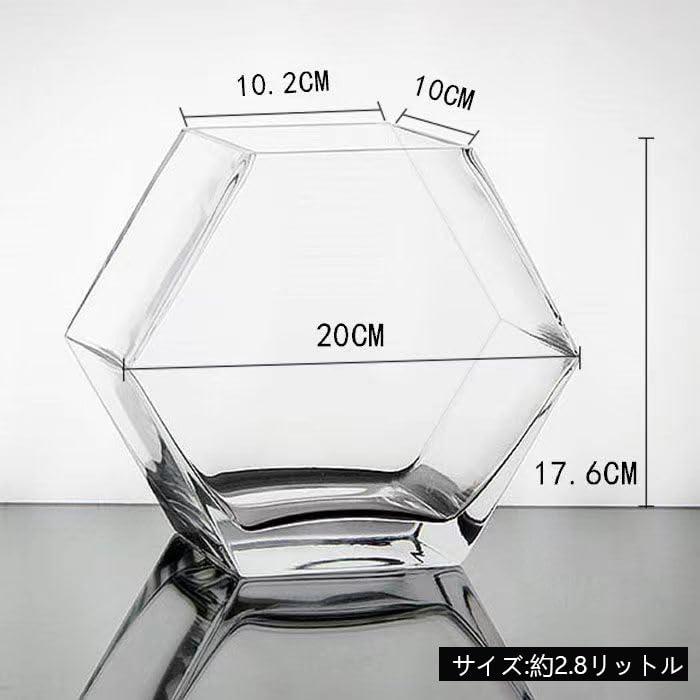 金魚鉢 水槽 小シンク 苔テラリウム 六角形ボディ おしゃれガラス