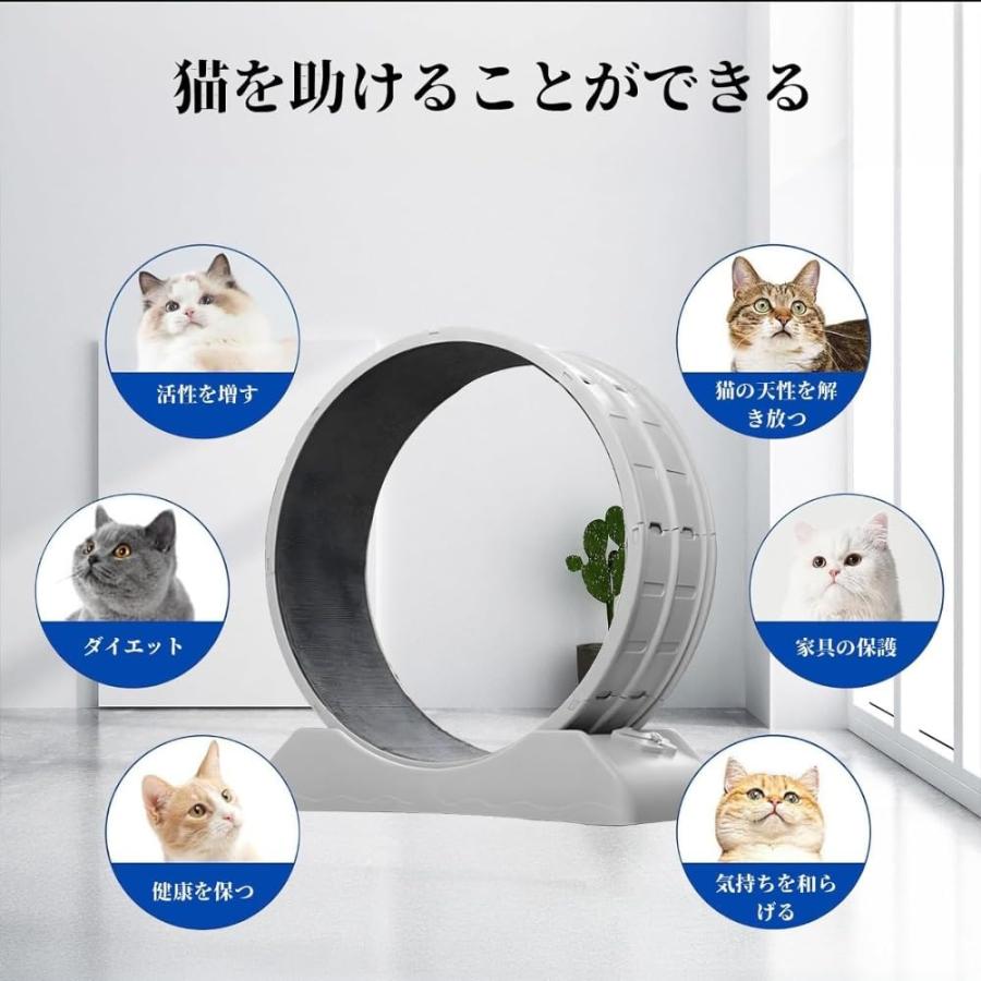 キャットホイール 猫用トレッドミル 猫ランニングホイール 丈夫で静か