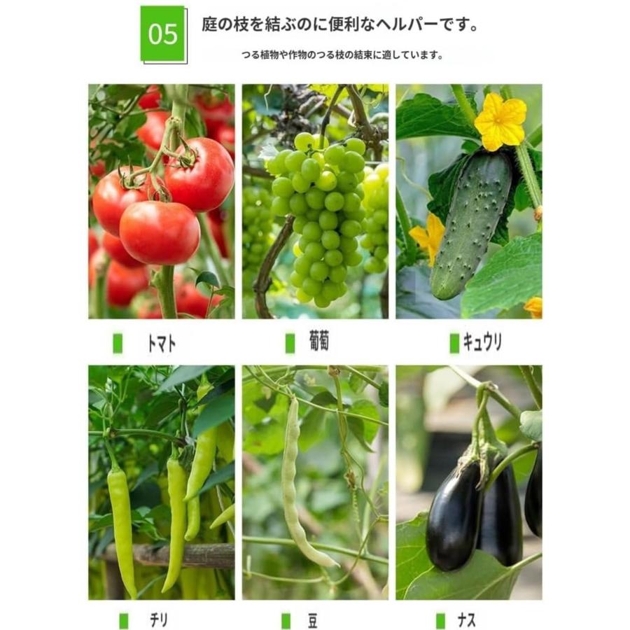 2025新登場 植物結束機 誘引結束機 植物枝 結束機 手結束ツール 2025新登場 植物結束機 誘引結束機 植物枝 結束機 手結束ツール