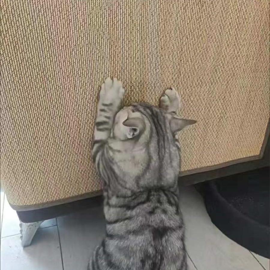 防止シート 爪とぎ ソファ【2026新登場】 猫用爪とぎマット 猫 防止猫