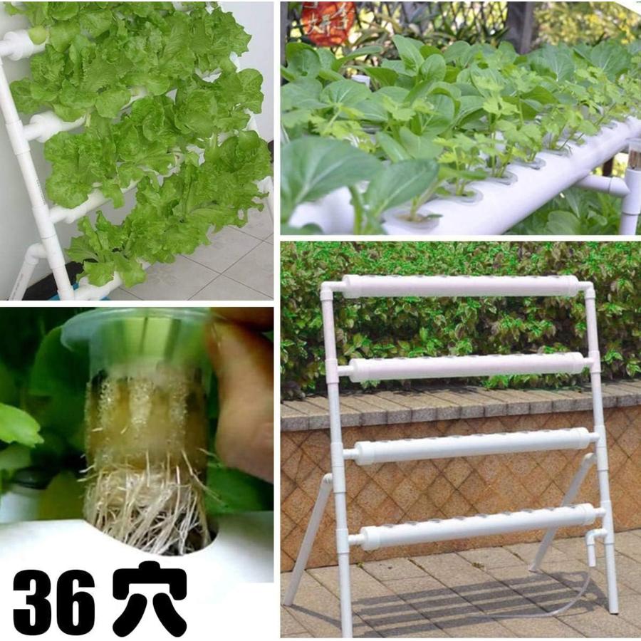 水耕栽培キット4 層 垂直水耕栽培システム 室内 いちご 家庭菜園 家庭 