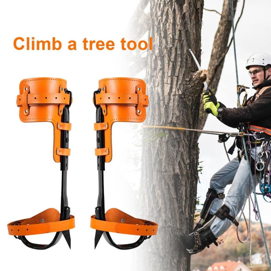 富士電工昇柱器 アーボリスト ツリークライミング - 登山用品