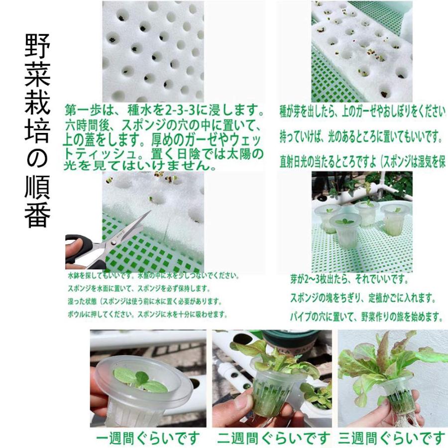 水耕栽培キット すいこう栽培キット 野菜 栽培キット 室内