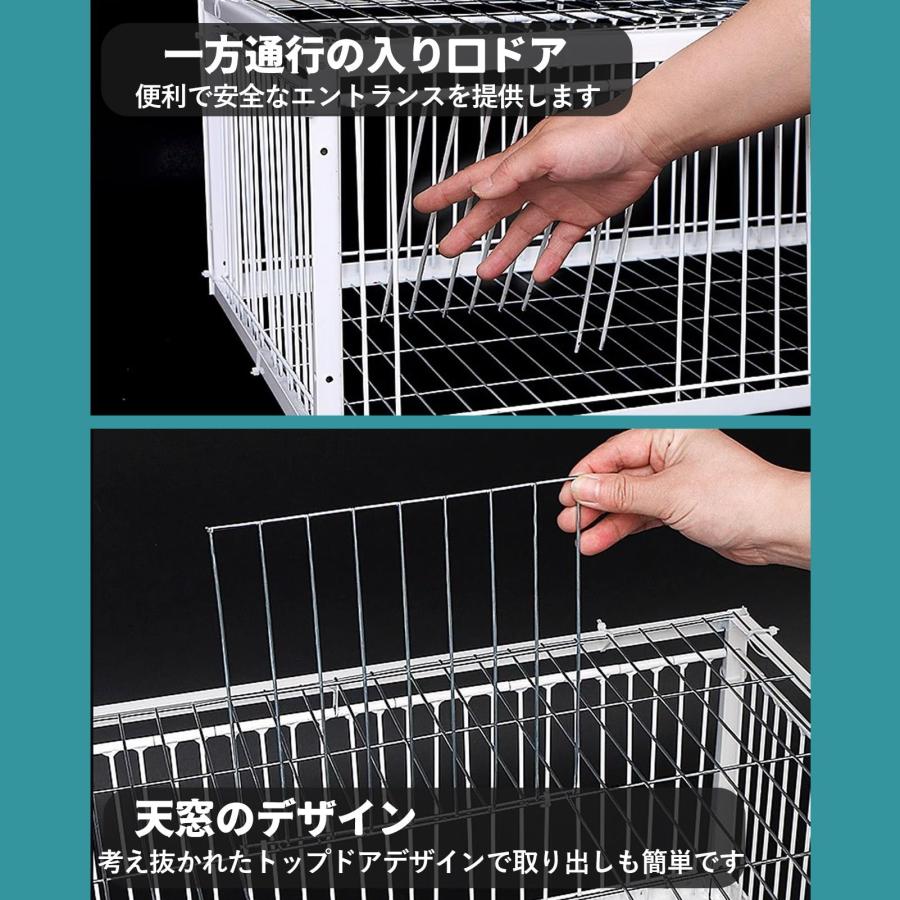 鳥かご 鳥ケージ 捕獲器 防鳥 ライブ 鳥 トラップ バードケージ 天窓