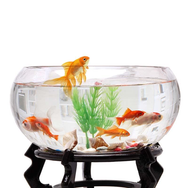 金魚鉢 丸型金魚鉢 ガラス 透明 テーブル アクアリウム ボウル 観葉