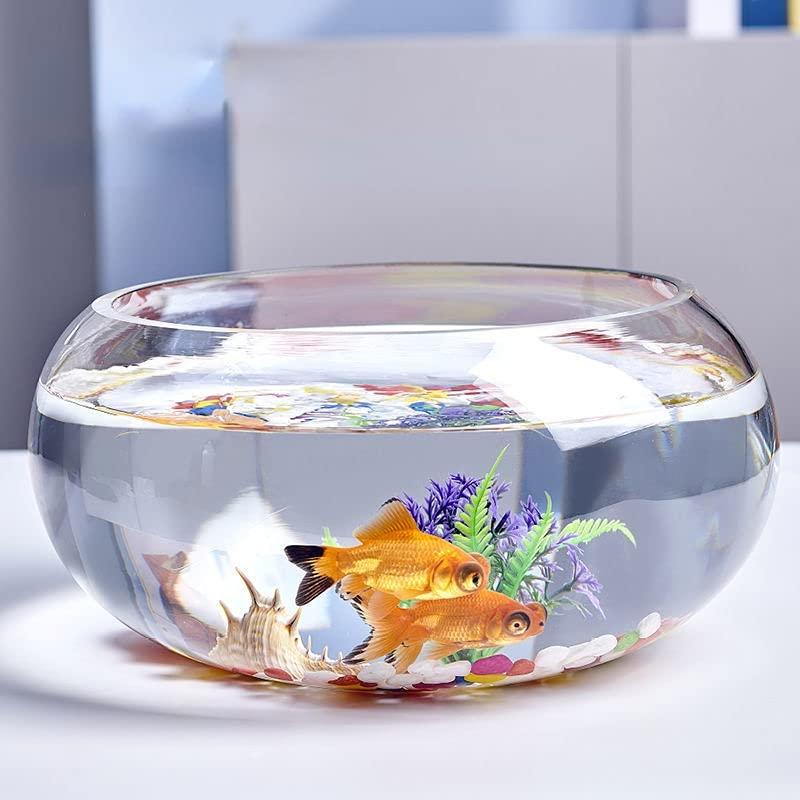 金魚鉢 丸型金魚鉢 ガラス 透明 テーブル アクアリウム ボウル 観葉