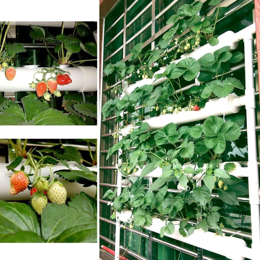 水耕栽培キット 垂直水耕栽培システム 室内 3層108植物サイト食品